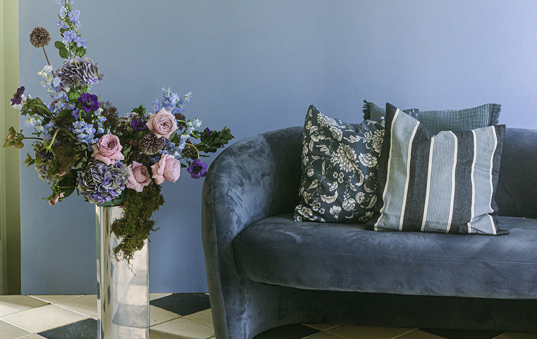 Color Theory Meets Brand Identity & Decor